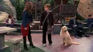 The Kid Whisperer still