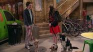 Dog Date Afternoon still