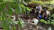 Blue Moonshine still