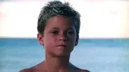 Shark Island still