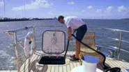 Ice, Ice, Maybe still
