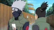 Following the Master's Shadow still