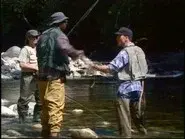 Poachers still