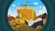 Honey Badger still