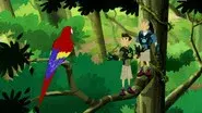 Parrot Power still
