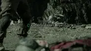 COLONY OF ANTS still