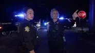 Repeat Home Invasion Suspect Search still