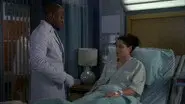 House Training still
