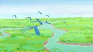 Amazin' Amazon Adventure still