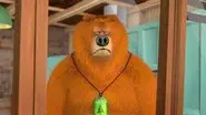 Augmented Bear still