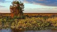 Everglades: to Hell and Back still