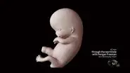 When Does Life Begin? still