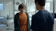 If I Only Had Raw Brain still