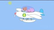 The Flying Vet still