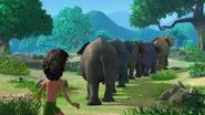 The Elephant's Secret still