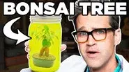 Leaving Things In A Margarita For A Month (EXPERIMENT) still