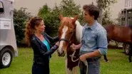 Save a Horse, Ride a Cowboy still