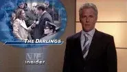 The Family Lawyer still