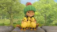 The Tale of the Puddleduck Disaster still