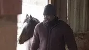 Get Off Your High Horse still