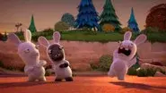 Rabbid Associates still