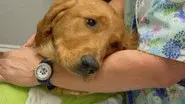 A Full Heart still