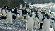 Panorama still
