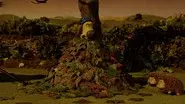 A Prickly Problem still