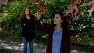 The Fall still