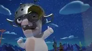 Star Rabbid still