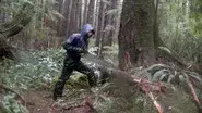 Rain of Terror still