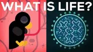 What Is Life? Is Death Real? still