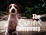 The Canine Conspiracy still