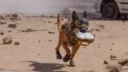 Episode 3 still
