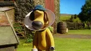 Cone of Shame still