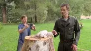 The Chicken and the Pear still