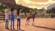 Home Is Where the Herd Is still