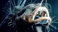 The Deep still