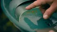 The Last Frontier still