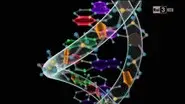 DNA Surprises (Second Version) still