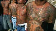 The Myth of MS-13 still