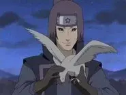Hidden Jutsu! The Price of the Ninja Art: Kujaku still