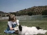 Man's Best Friend (1) still