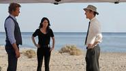 The Desert Rose still
