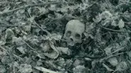 Corpus Delicti still