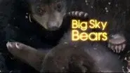 Big Sky Bears still