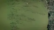 Ghost Fleet of Cannibal Bay still