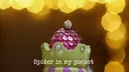 Champion of Champions 2024 : Spider in My Pocket still