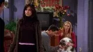 The One Where Chandler Doesn't Like Dogs still