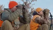 Colorado Mule Deer: Baseball and Bucks still